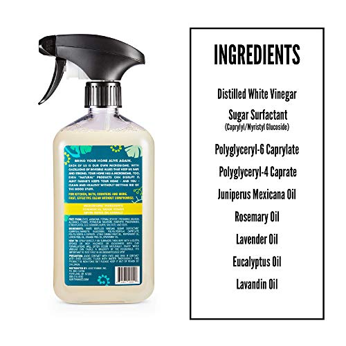 Aunt Fannie's Household Cleaner Bundle - Non-Toxic Vinegar Spray & Wipes, Lemon Scent - 35 Wipes