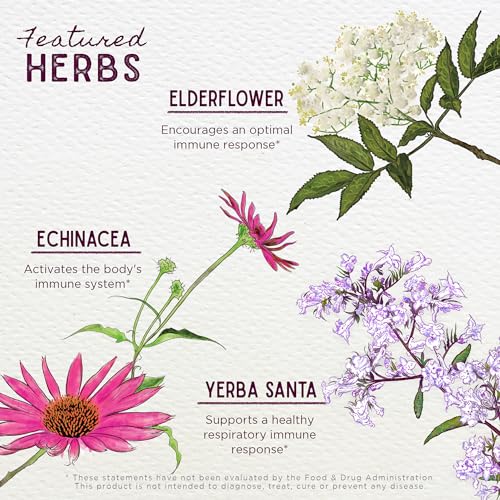 WishGarden Herbs Immune Defense Supplement - Plant-Based Boost with Echinacea & Goldenseal - 2oz