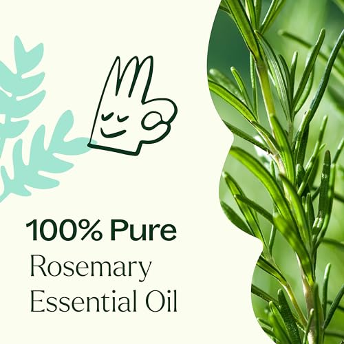 Plant Therapy Rosemary Essential Oil - Promotes Hair Growth, Cognitive Boost - 10 mL