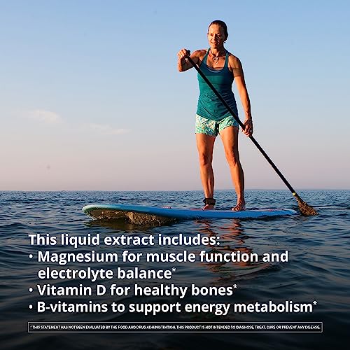 Floradix Iron Sport Multivitamin - Energy & Muscle Support, Vegan, Non-GMO - 8.5 fl oz