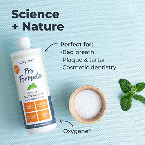 Oxyfresh Pro Formula Mouthwash - All-Day Fresh Breath & Healthy Gums, Alcohol-Free - 16oz