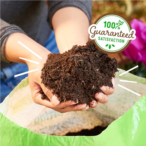 Back to the Roots Organic Potting Mix - Nutrient-Rich Soil for Herbs & Veggies - 6 Quarts