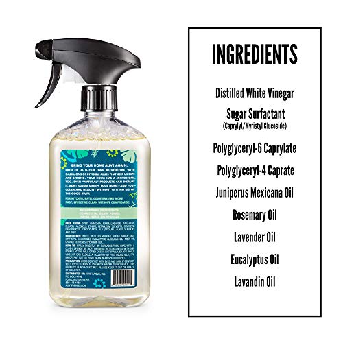 Aunt Fannie's All Purpose Cleaner Bundle - Non-Toxic, Eucalyptus Scent, Biodegradable Wipes - 35ct