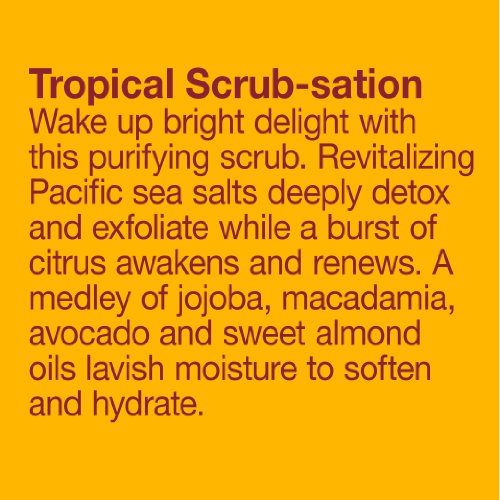 Alba Botanica Hawaiian Body Scrub - Deeply Exfoliates, Hydrating Botanical Oils - 14.5oz