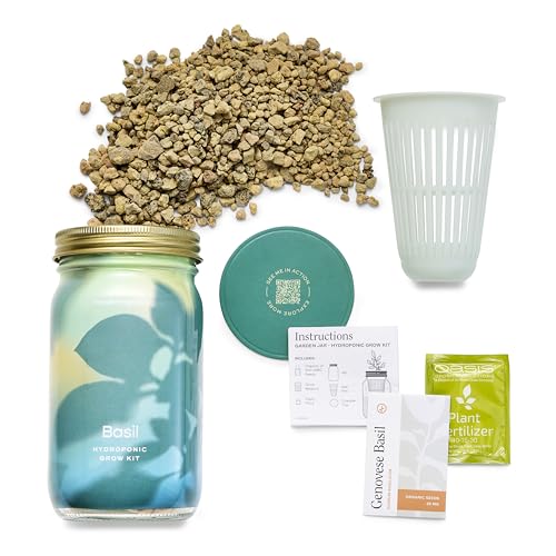Modern Sprout Mason Jar Grow Set - Indoor Herb Garden with Organic Seeds, Reusable Kit - Basil