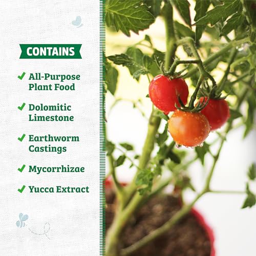 Back to the Roots Organic Potting Mix - Nutrient-Rich Soil for Herbs & Veggies - 6 Quarts
