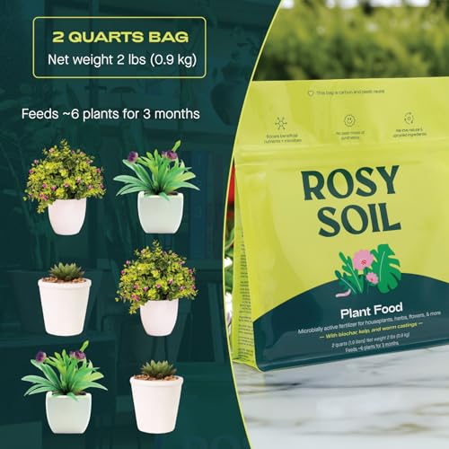 Rosy Soil Plant Food - Organic Nutrients for Healthy Growth, Biochar & Kelp - 2 Quarts
