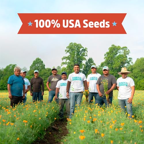 Back to the Roots Plant Grow Kit - Organic Non-GMO Seeds for Year-Round Harvest - 30ct