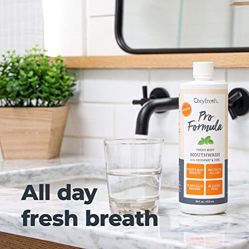 Oxyfresh Pro Formula Mouthwash - All-Day Fresh Breath & Healthy Gums, Alcohol-Free - 16oz