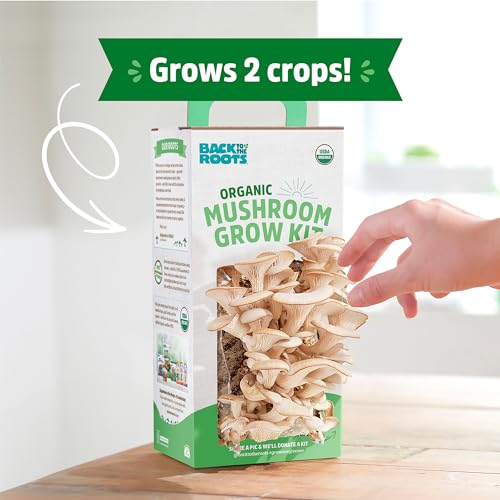Back to the Roots Mushroom Grow Kit - Organic, Non-GMO, Harvest in 10 Days - 3-Pack