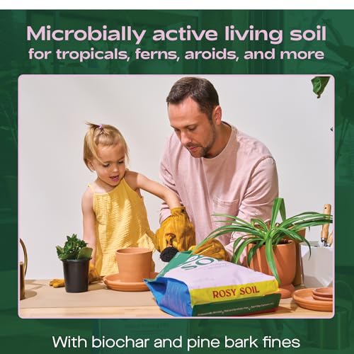 Rosy Soil Cactus & Succulent Mix - Thriving Growth, Microbial Support - 4qt & 8qt Sizes