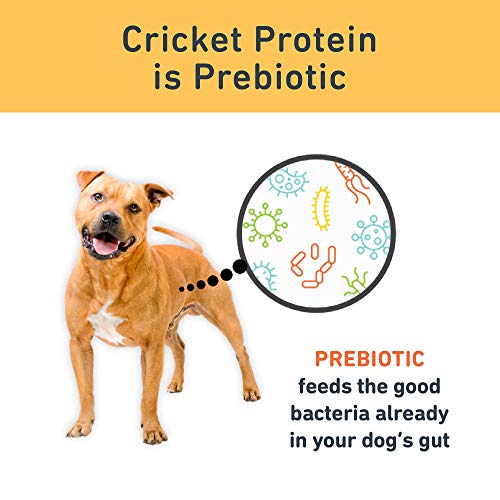 Jiminy's Dog Treats - Hypoallergenic Cricket Cookies, Peanut Butter & Blueberry - 5oz