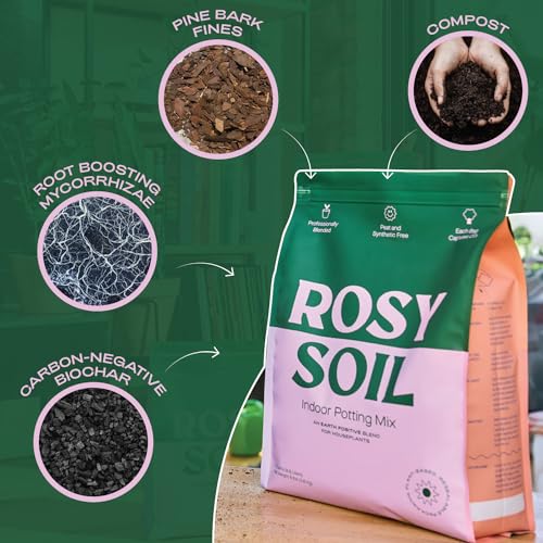 Rosy Soil Cactus & Succulent Mix - Thriving Growth, Microbial Support - 4qt & 8qt Sizes