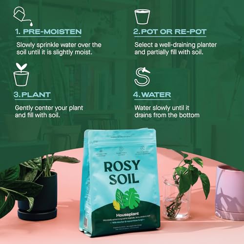 Rosy Soil Indoor Potting Soil - Boosts Plant Growth, Peat-Free, Biochar-Enriched - 4qt