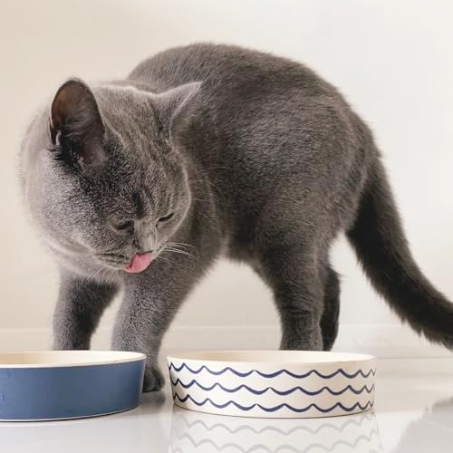 Beco Bamboo Cat Bowl - Reduces Whisker Interference, Plant-Based, Durable - Waves Blue, 5.25in