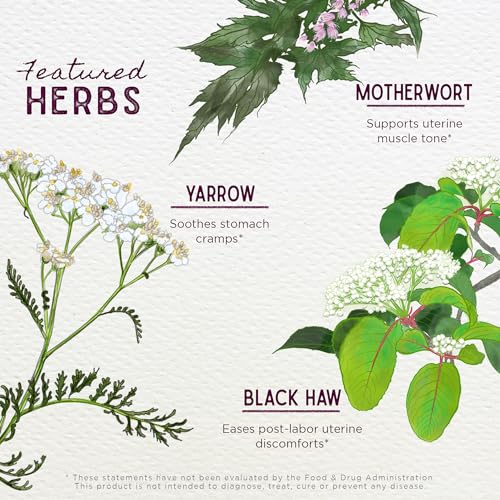 WishGarden Herbs AfterEase - Eases Afterbirth Discomfort with Herbal Ingredients, 2oz