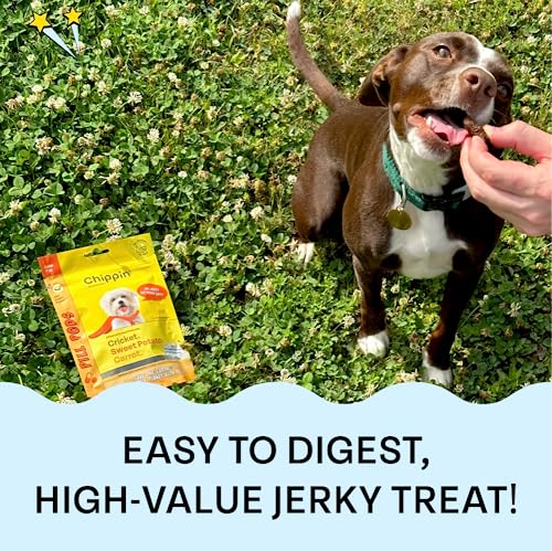 Chippin Dog Treat - Hypoallergenic Cricket & Sweet Potato, Supports Gut Health - 5oz