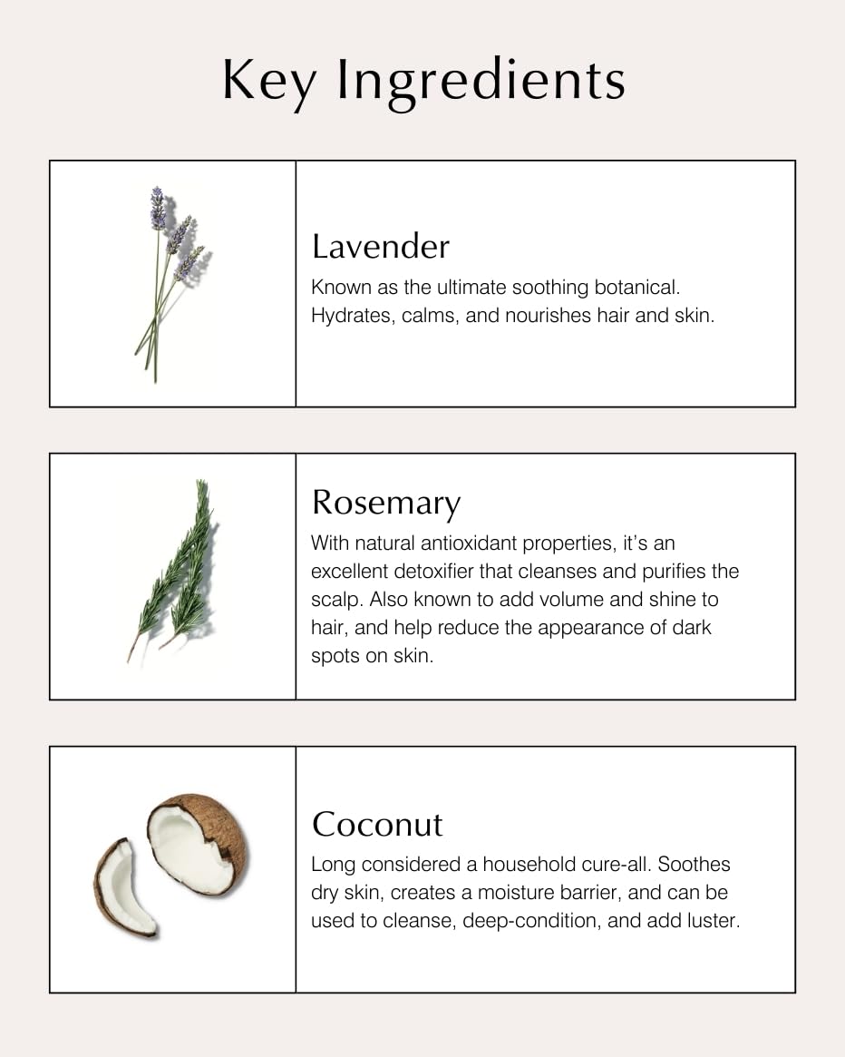 John Masters Organics Shampoo - Nourishing Lavender & Rosemary, USDA Organic, 16 oz