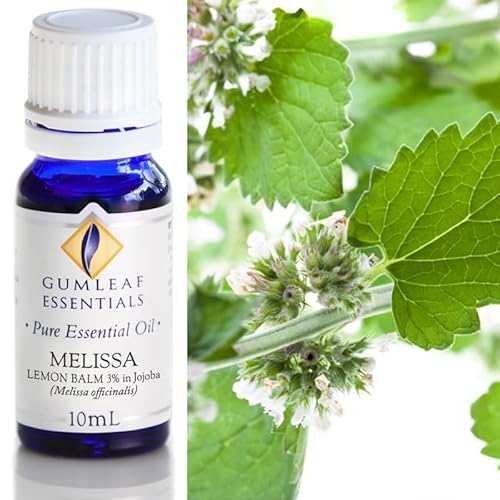 Gumleaf Essentials Melissa Essential Oil - Uplifting, 100% Pure & Natural, 10ml