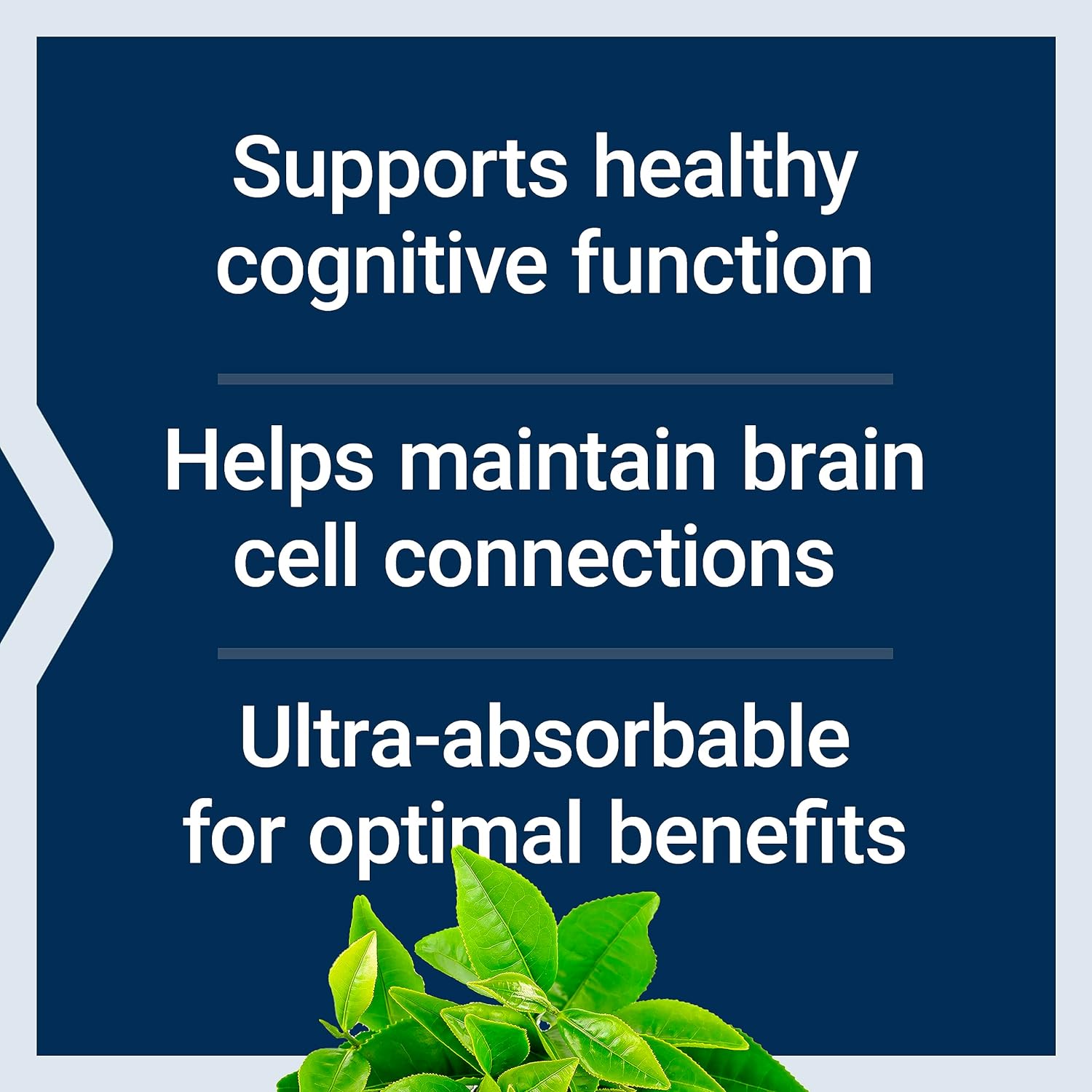 Life Extension Neuro-mag Magnesium - Supports Memory & Focus, Non-GMO, Gluten Free - 90 Capsules