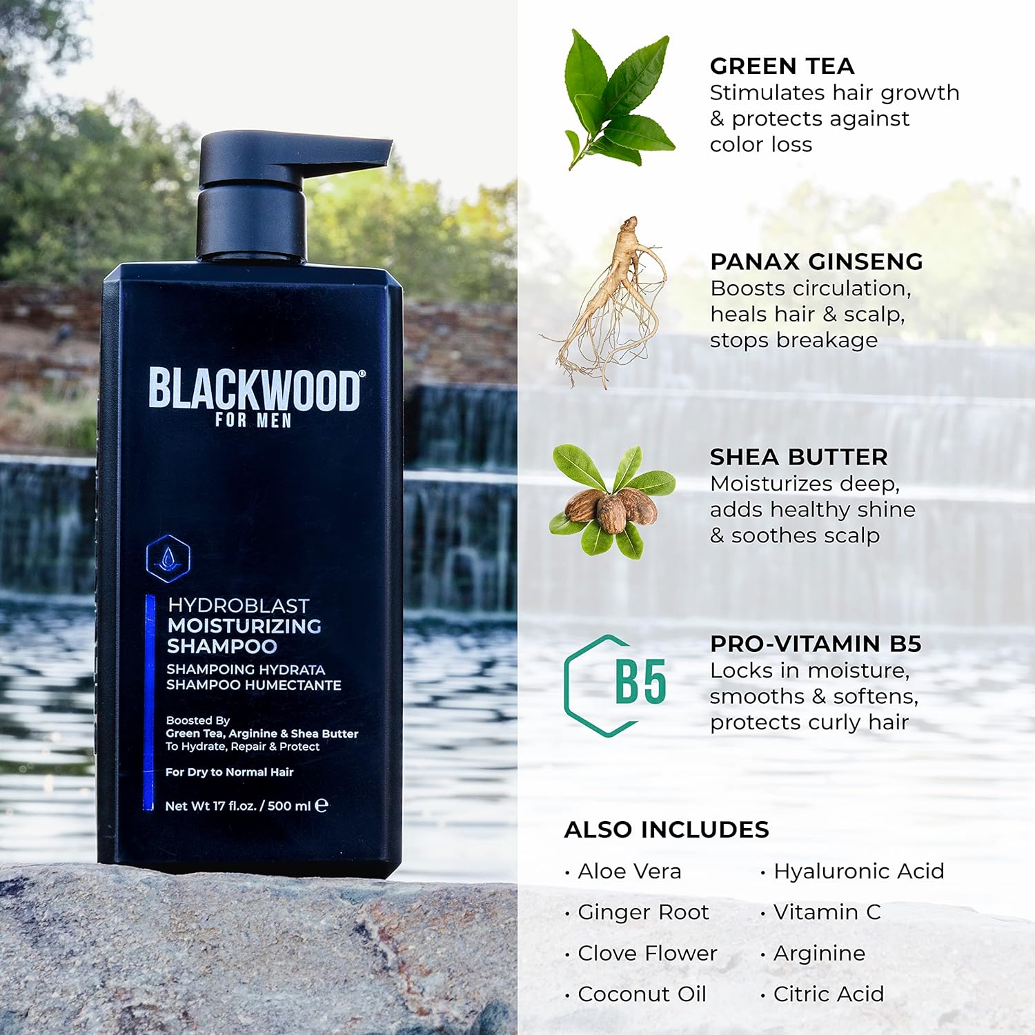 Blackwood For Men Shampoo - Moisturizes & Repairs Coarse, Curly Hair with Ginseng & Ginger - 17oz