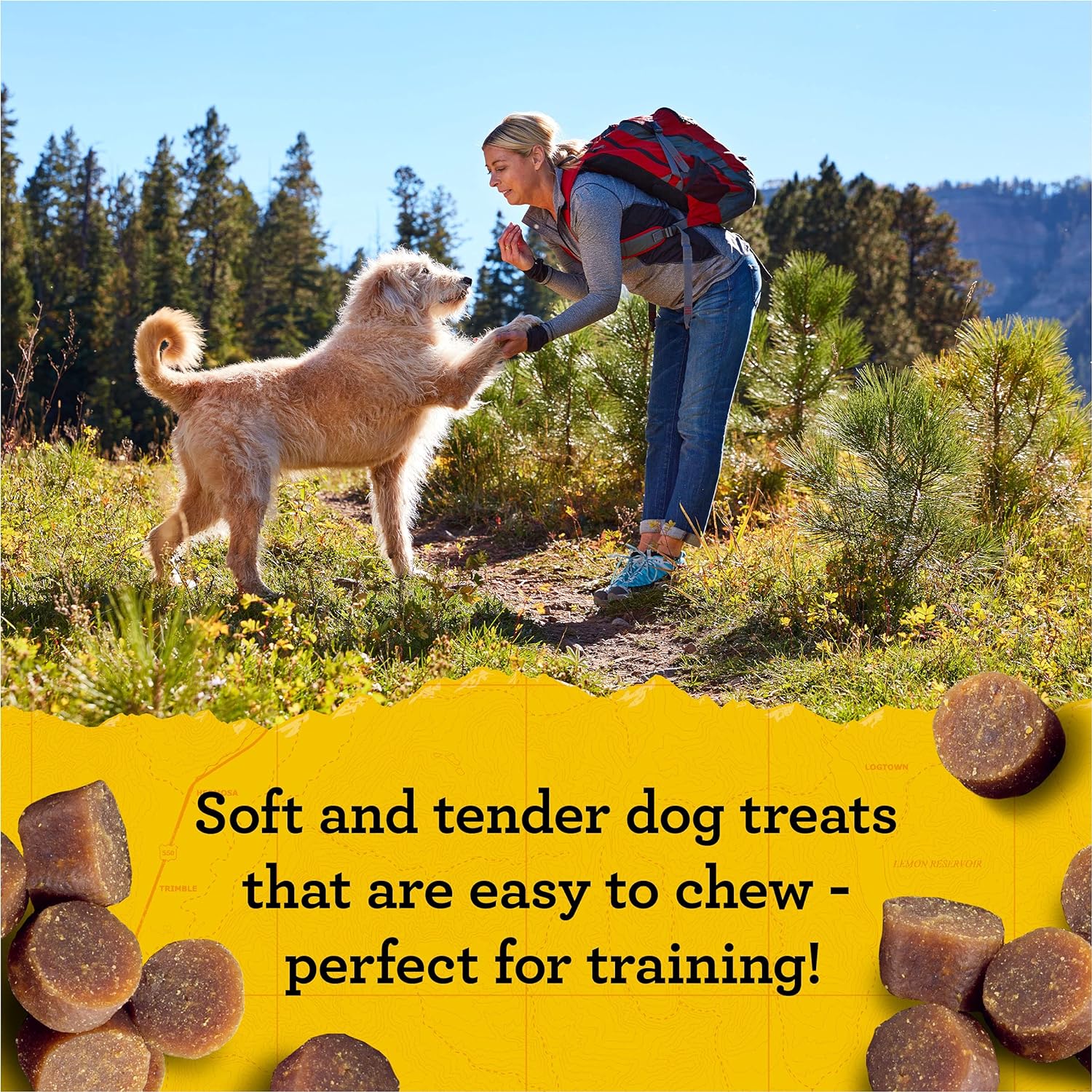 Zuke's Mini Naturals Dog Treats - Peanut Butter & Oats, Soft Chewy Bites, 16oz Pouch