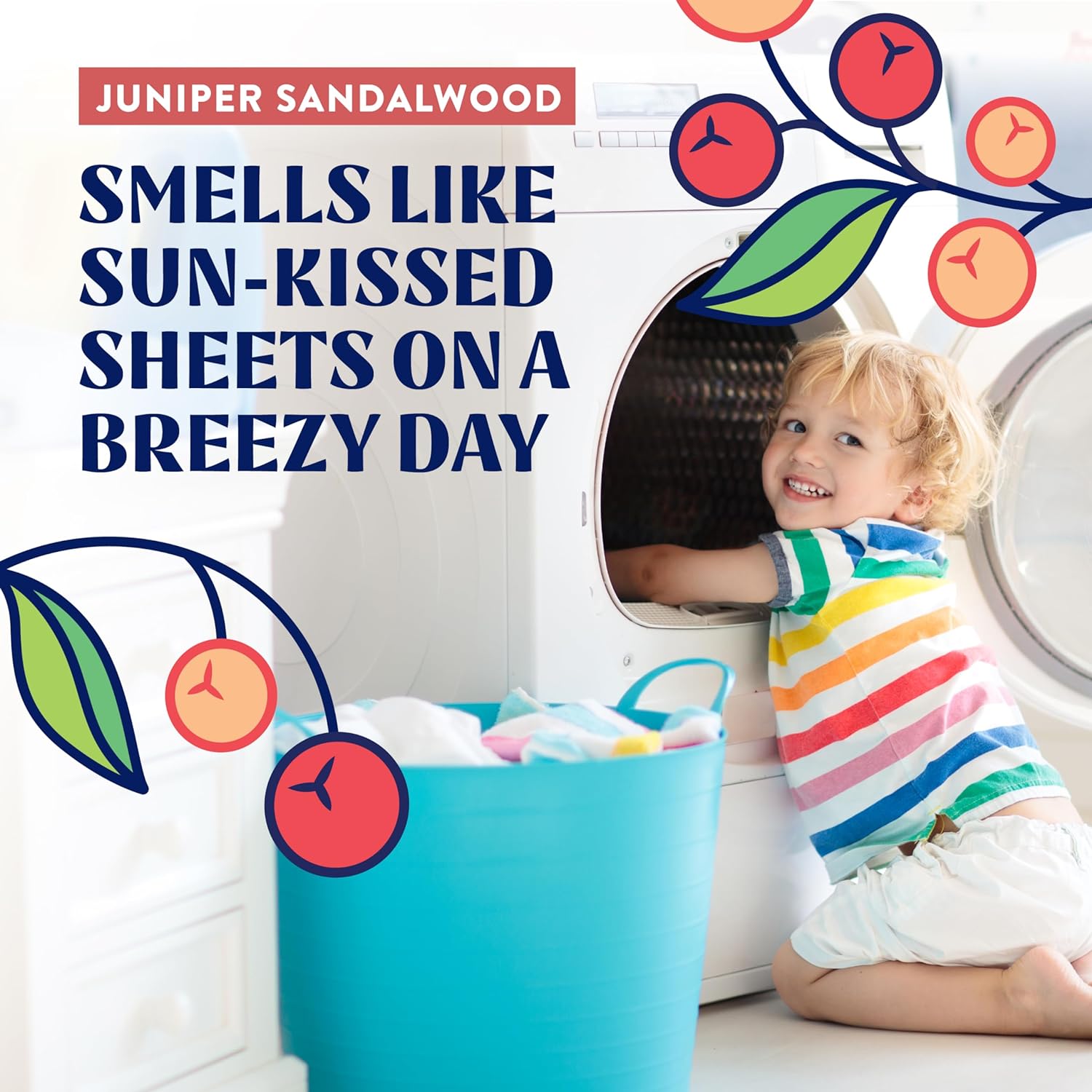 Ultra Concentrated Laundry Detergent - Fights Stains & Odors, Juniper Sandalwood Scent - 32oz